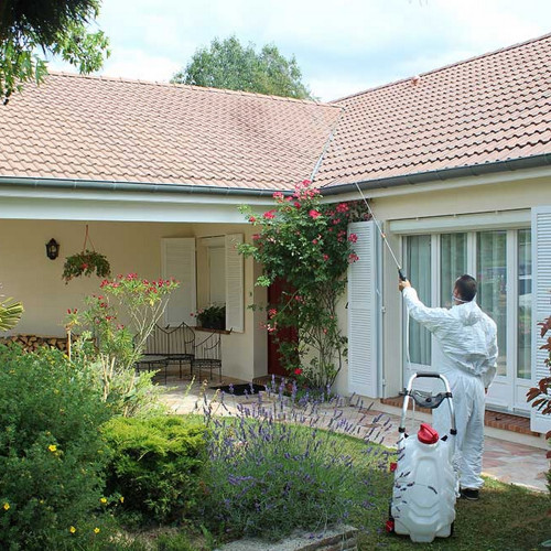 Pulvérisateur électrique 30 litres