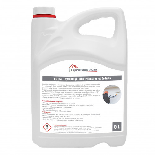 HG123 - Hydrofuge Peintures et Enduits Exterieurs - 15 litres